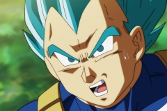 Dragon Ball Super Épisode 115 (153)
