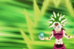 Dragon Ball Super Épisode 115 (173)