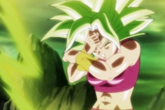 Dragon Ball Super Épisode 115 (181)