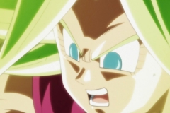 Dragon Ball Super Épisode 115 (185)