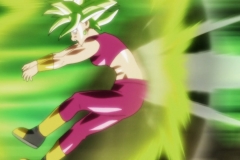 Dragon Ball Super Épisode 115 (191)