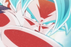 Dragon Ball Super Épisode 115 (193)