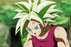 Dragon Ball Super Épisode 115 (197)