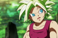 Dragon Ball Super Épisode 115 (198)