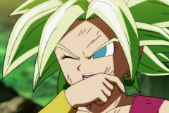 Dragon Ball Super Épisode 115 (199)
