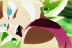 Dragon Ball Super Épisode 115 (206)