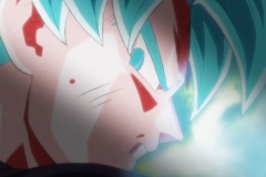 Dragon Ball Super Épisode 115 (213)