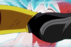 Dragon Ball Super Épisode 115 (214)