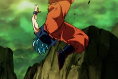 Dragon Ball Super Épisode 115 (216)