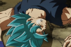 Dragon Ball Super Épisode 115 (217)