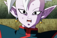Dragon Ball Super Épisode 115 (219)