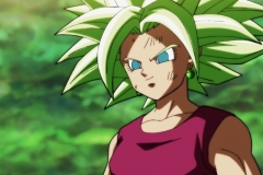 Dragon Ball Super Épisode 115 (220)