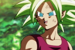 Dragon Ball Super Épisode 115 (223)