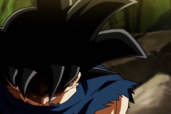 Dragon Ball Super Épisode 115 (224)