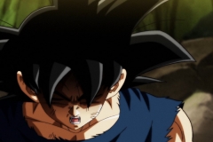 Dragon Ball Super Épisode 115 (225)