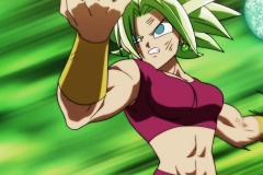 Dragon Ball Super Épisode 115 (228)