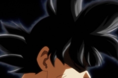 Dragon Ball Super Épisode 115 (229)