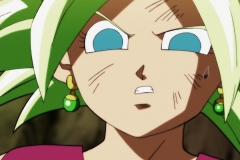 Dragon Ball Super Épisode 115 (233)