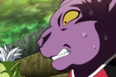 Dragon Ball Super Épisode 115 (234)