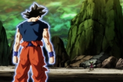 Dragon Ball Super Épisode 115 (235)