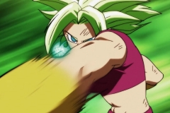 Dragon Ball Super Épisode 115 (237)