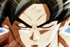 Dragon Ball Super Épisode 115 (238)