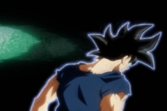 Dragon Ball Super Épisode 115 (239)