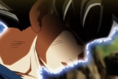 Dragon Ball Super Épisode 115 (243)