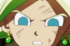 Dragon Ball Super Épisode 115 (244)