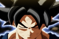 Dragon Ball Super Épisode 115 (245)