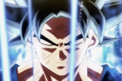 Dragon Ball Super Épisode 115 (247)