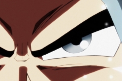 Dragon Ball Super Épisode 115 (249)