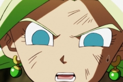 Dragon Ball Super Épisode 115 (250)