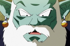 Dragon Ball Super Épisode 115 (62)