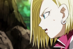 Dragon Ball Super Épisode 115 (77)