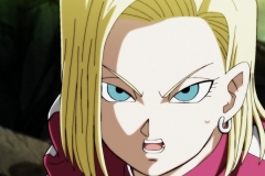 Dragon Ball Super Épisode 115 (79)