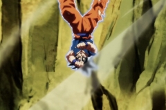 Dragon Ball Super Épisode 116 (104)