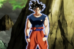 Dragon Ball Super Épisode 116 (106)