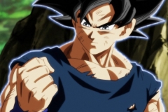 Dragon Ball Super Épisode 116 (107)