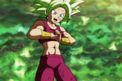 Dragon Ball Super Épisode 116 (111)