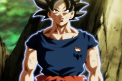 Dragon Ball Super Épisode 116 (113)