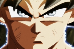 Dragon Ball Super Épisode 116 (114)