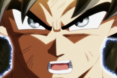 Dragon Ball Super Épisode 116 (115)