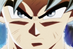 Dragon Ball Super Épisode 116 (116)