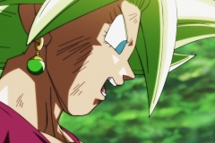 Dragon Ball Super Épisode 116 (126)