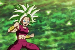 Dragon Ball Super Épisode 116 (127)