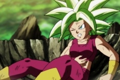 Dragon Ball Super Épisode 116 (135)