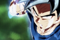 Dragon Ball Super Épisode 116 (143)