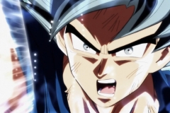 Dragon Ball Super Épisode 116 (144)