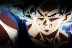 Dragon Ball Super Épisode 116 (148)